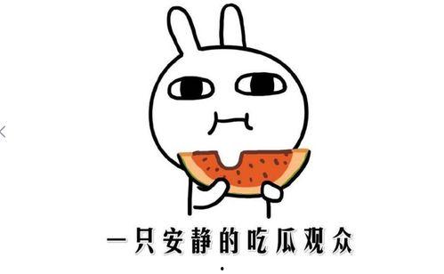 吃瓜网热门事件在线观看,实时在线观看，揭秘娱乐圈风云变幻