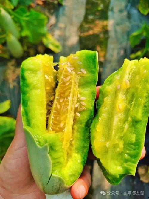 最新最快的吃瓜网