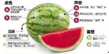 昭通网红吃瓜群微信,揭秘网络社交圈的趣味与争议