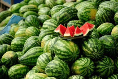 快手网红吃瓜伊犁,探寻新疆美食与风土人情