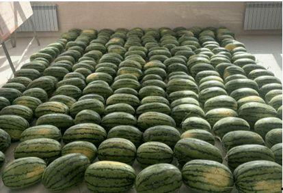 最新校园爆料吃瓜,揭秘最新吃瓜爆料背后的真相