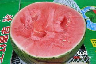 吃瓜最新事件长沙新闻网,揭秘近期热门吃瓜事件背后的真相